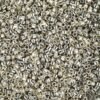 Miyuki Delica Seed Beads | Size 11/0 (1.6 mm), DB1831, Duracoat Galvanized Silver, 7.2 g, Approx. 1440 Beads, Made in Japan Miyuki Delica Seed Beads | Size 11/0 (1.6 mm), DB1831, Duracoat Galvanized Silver, 7.2 g, Approx. 1440 Beads, Made in Japan