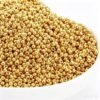 Metallic Round Seed Beads