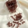 Czech V Shape two hole beads
